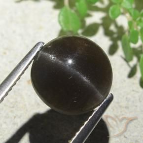3.87 ct Brown Cat's Eye Scapolite Stone, Natural Cat's Eye Scapolite in Round Cabochon Shape for Sale