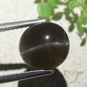 Cat's Eye Scapolite Gemstone in 10 mm (calibrated) Size for Sale, Cat's Eye Scapolite Stone in Dark Brown Color