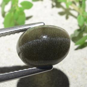 Cat's Eye Scapolite Gemstone in 10 x 8 mm (calibrated) Size for Sale, Cat's Eye Scapolite Stone in Greenish Brown Color