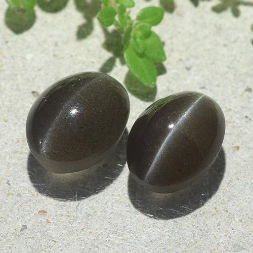 Nero Scapolite effetto occhio di gatto Gem - 3.1ct Ovale cabochon (ID: 484139)