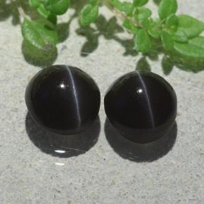 Black Cat's Eye Scapolite Gem - 1.4ct Round Cabochon (ID: 484146)