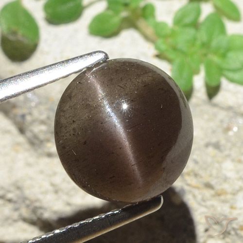 3.45 ct Round Cat's Eye Scapolite, 8.9 mm From Madagascar, Photo A