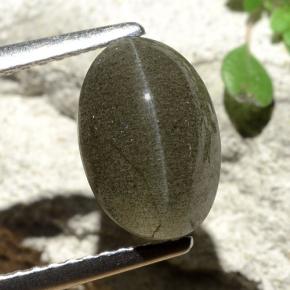 Negro grisáceo Escapolita Ojo de Gato Gema - 3.1ct Cabujón Óvalo (ID: 484169)