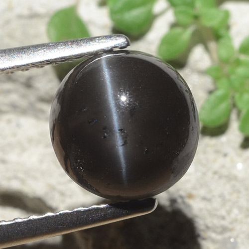 3.3 ct Round Cat's Eye Scapolite, 8.5 mm From Madagascar, Photo A