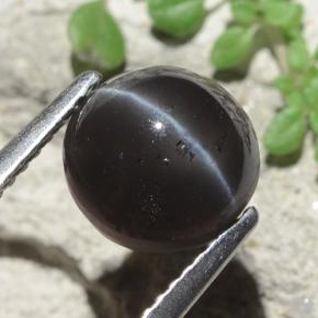 3.30 ct Black Cat's Eye Scapolite Stone, Natural Cat's Eye Scapolite in Round Cabochon Shape for Sale