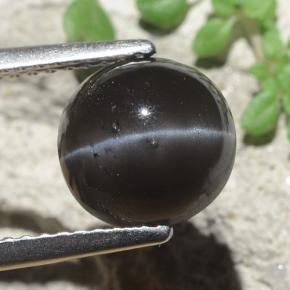 Cat's Eye Scapolite Gemstone in 8.5 mm (calibrated) Size for Sale, Cat's Eye Scapolite Stone in Warm Black Color