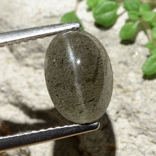 2.93 ct Oval Cat's Eye Scapolite, 10.1 x 7.1 mm From Madagascar, Photo A