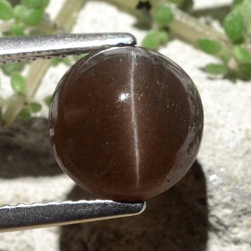 3.7ct Round Cabochon Brown Cat's Eye Scapolite for sale thumb image of 3.7ct Round Cabochon Brown Cat's Eye Scapolite (ID: 484175)