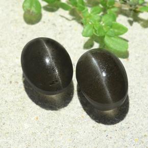 Dark Gray Cat's Eye Scapolite Gem - 3ct Oval Cabochon (ID: 484185)