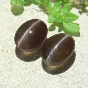 Umber Brown Scapolite effetto occhio di gatto Gem - 2ct Ovale cabochon (ID: 484186)