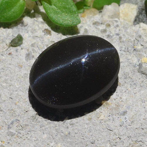 Black Cat's Eye Scapolite Gem - 2.1ct Oval Cabochon (ID: 484369)