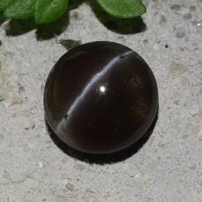Black Cat's Eye Scapolite Gem - 2.7ct Round Cabochon (ID: 484379)