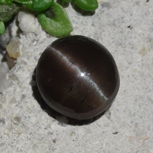 2.1 ct Round Cat's Eye Scapolite, 7.5 mm From Madagascar, Photo A