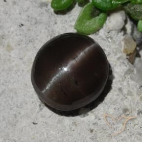 2.10 ct Brown Cat's Eye Scapolite Stone, Natural Cat's Eye Scapolite in Round Cabochon Shape for Sale
