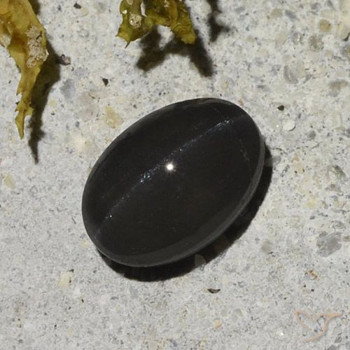 1.48 ct Oval Cat's Eye Scapolite, 7.8 x 5.5 mm From Madagascar, Photo A
