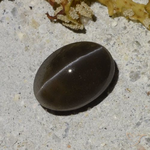 1.35 ct Oval Cat's Eye Scapolite, 7.5 x 5.3 mm From Madagascar, Photo A