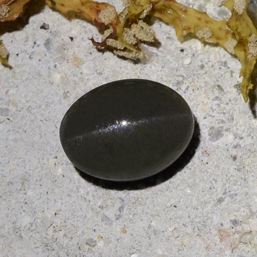 2.09 ct Oval Cat's Eye Scapolite, 8.3 x 6.2 mm From Madagascar, Photo A