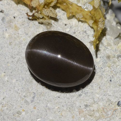 2.96 ct Oval Cat's Eye Scapolite, 9.2 x 7.1 mm From Madagascar, Photo A
