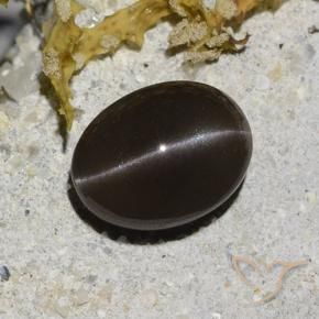 2.96 ct Brown Cat's Eye Scapolite Stone, Natural Cat's Eye Scapolite in Oval Cabochon Shape for Sale