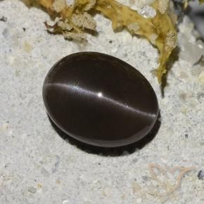 Cat's Eye Scapolite Gemstone in 9 x 7 mm (calibrated) Size for Sale, Cat's Eye Scapolite Stone in Brown Color