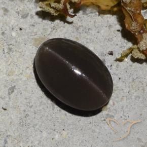 1.25 ct Brown Cat's Eye Scapolite Stone, Natural Cat's Eye Scapolite in Oval Cabochon Shape for Sale
