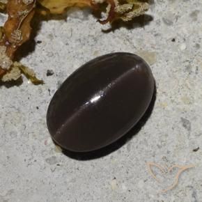 Cat's Eye Scapolite Gemstone in 8.1 x 5.4 mm Size for Sale, Cat's Eye Scapolite Stone in Chocolate Brown Color