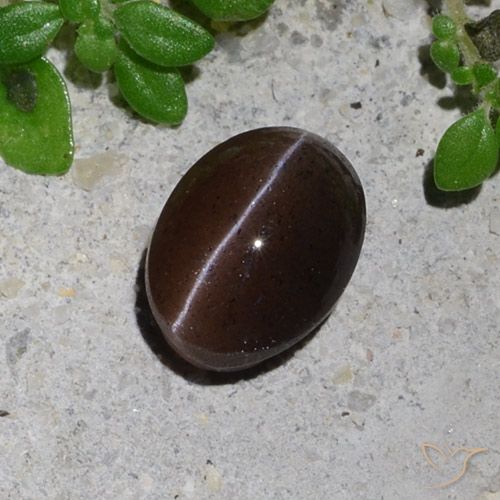 1.23 ct Oval Cat's Eye Scapolite, 7 x 5.3 mm From Madagascar, Photo A
