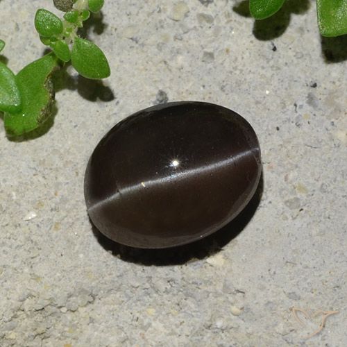 2.43 ct Oval Cat's Eye Scapolite, 8.7 x 6.6 mm From Madagascar, Photo A