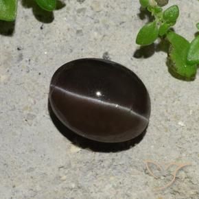 2.43 ct Brown Cat's Eye Scapolite Stone, Natural Cat's Eye Scapolite in Oval Cabochon Shape for Sale