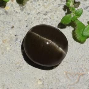 2.64 ct Brown Cat's Eye Scapolite Stone, Natural Cat's Eye Scapolite in Oval Cabochon Shape for Sale
