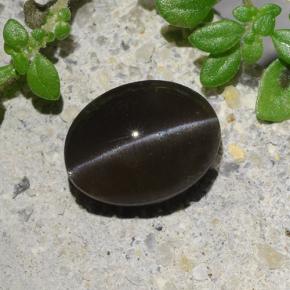 1.7ct Oval Cabochon Brown Cat's Eye Scapolite for sale thumb image of 1.7ct Oval Cabochon Brown Cat's Eye Scapolite (ID: 484760)