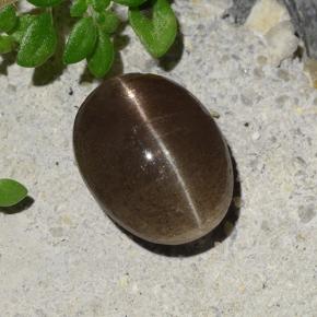 Umber Brown Cat's Eye Scapolite Gem - 3.3ct Oval Cabochon (ID: 484761)
