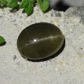 Earthy Green Cat's Eye Scapolite Gem - 2.7ct Oval Cabochon (ID: 484762)