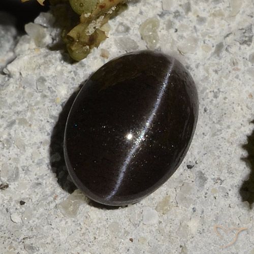 1,47 ct ovaler Skapolith Katzenauge aus Madagaskar, Größe: 7,9 x 5,6mm, Reinheit: Translucent, Garantiert echter Edelstein, 1 Stück Skapolith Katzenauge in Warmes Schwarz Farbe, Mohs-Härte von 5,5 - 6, Photo A