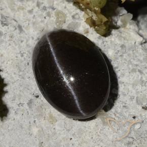 1.47 ct Black Cat's Eye Scapolite Stone, Natural Cat's Eye Scapolite in Oval Cabochon Shape for Sale