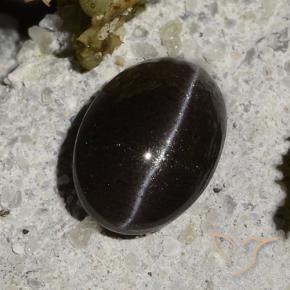 Cat's Eye Scapolite Gemstone in 7.9 x 5.6 mm Size for Sale, Cat's Eye Scapolite Stone in Warm Black Color