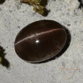 2.44 ct Brown Cat's Eye Scapolite Stone, Natural Cat's Eye Scapolite in Oval Cabochon Shape for Sale