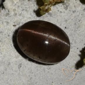 Cat's Eye Scapolite Gemstone in 9 x 6.6 mm Size for Sale, Cat's Eye Scapolite Stone in Dark Brown Color