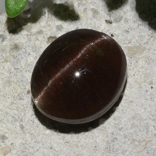 2.04 ct Oval Cat's Eye Scapolite, 7.8 x 6.6 mm From Madagascar, Photo A