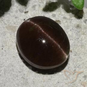 2.04 ct Brown Cat's Eye Scapolite Stone, Natural Cat's Eye Scapolite in Oval Cabochon Shape for Sale