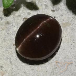 Cat's Eye Scapolite Gemstone in 7.8 x 6.6 mm Size for Sale, Cat's Eye Scapolite Stone in Dark Brown Color