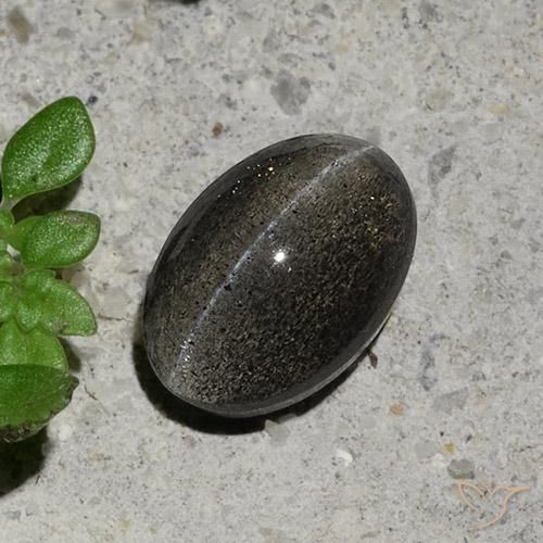 1.48ct Oval Dark Gray Cat's Eye Scapolite from Madagascar, Dimension 7.8 x 5.4mm, Natural untreated Gemstone, Translucent Clarity, 1pc Oval Cabochon Cat's Eye Scapolite, Mohs Hardness of 5.5 - 6, Photo A