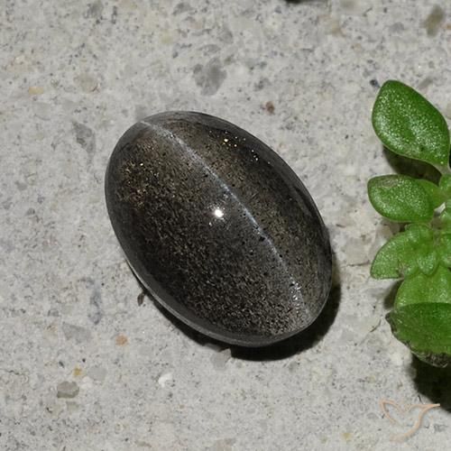 1.48 ct Gray Cat's Eye Scapolite Stone, Natural Cat's Eye Scapolite in Oval Cabochon Shape for Sale