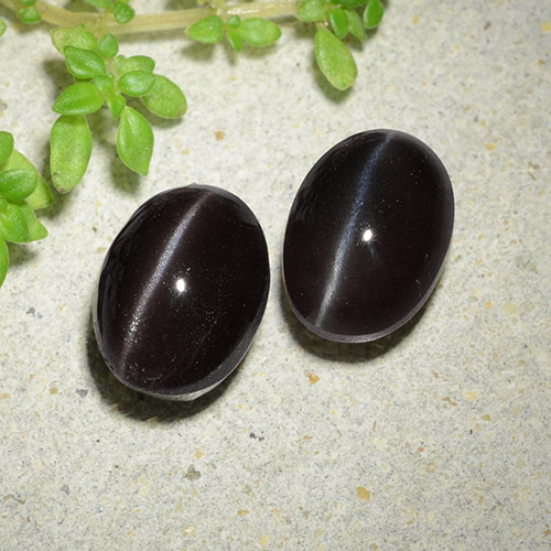 Schwarz Skapolith Katzenauge Edelstein - 2.5ct Oval Cabochon (ID: 484871)