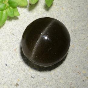 Black Cat's Eye Scapolite Gem - 3ct Oval Cabochon (ID: 484893)