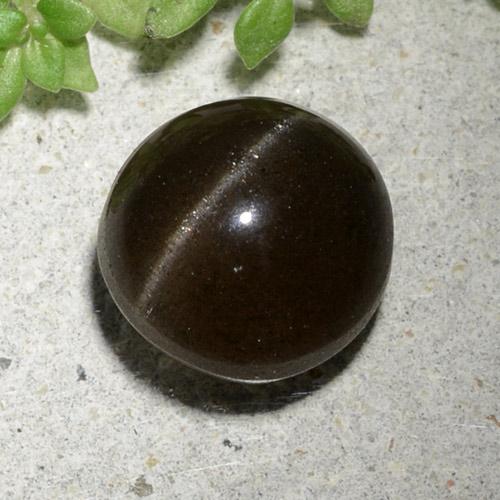 来自马达加斯加 3,3 克拉圆形黑色猫眼方柱石,尺寸 8,6 mm 毫米,天然宝石,半透明 净度,1 圆形凸面型猫眼方柱石,莫氏硬度为 5,5 - 6, Photo A