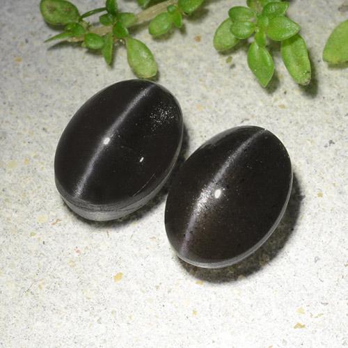Negro Escapolita Ojo de Gato Gema - 2.7ct Cabujón Óvalo (ID: 484910)