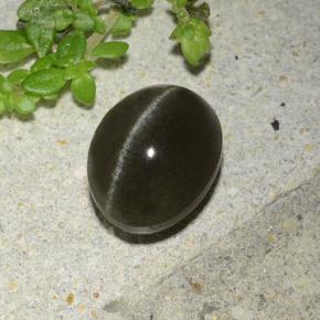 Black Cat's Eye Scapolite Gem - 2.4ct Oval Cabochon (ID: 485011)