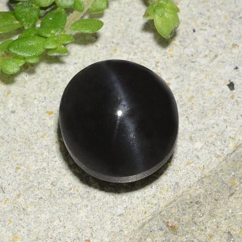 Black Cat's Eye Scapolite Gem - 2.6ct Oval Cabochon (ID: 485013)