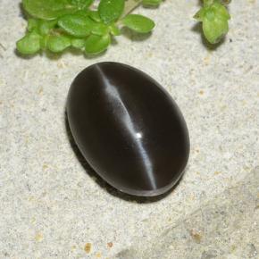 2.2ct Oval Cabochon Black Cat's Eye Scapolite for sale thumb image of 2.2ct Oval Cabochon Black Cat's Eye Scapolite (ID: 485019)